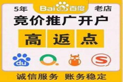 揭秘SEM搜索引擎优化成功案例，助您优化策略